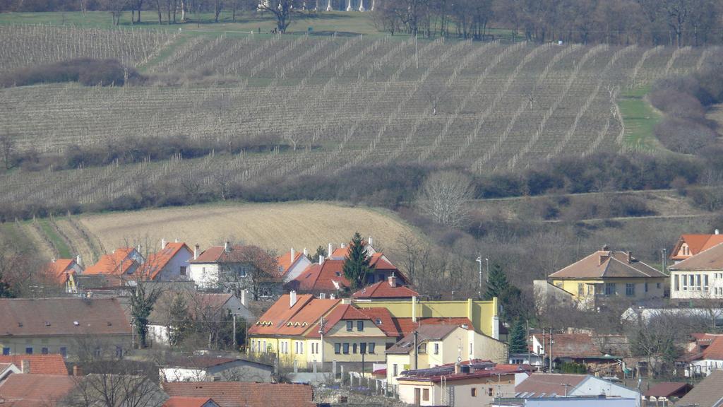 Apartment Železný Hrozen Valtice Exteriér fotografie